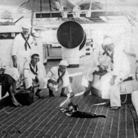 Sailors Teasing Cats