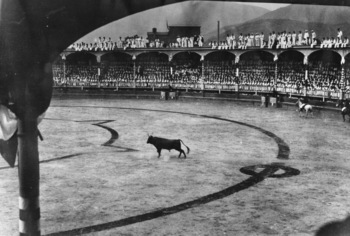 Sailors Take in a Bullfight, 1908