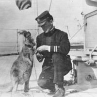 Kangaroo On Board USS Connecticut